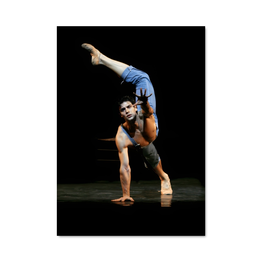 Poster Roberto de bolle